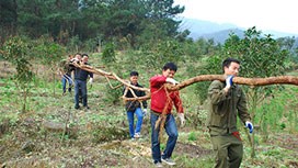 ��(w��n)����ˎ���г�һֱ���Є�(d��ng)